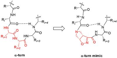 Bicyclic Pyrrolidine-Isoxazoline γ Amino Acid: A Constrained Scaffold for Stabilizing α-Turn Conformation in Isolated Peptides